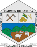 historiadecarupa.org
